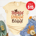 Thankful, Grateful, Blessed Tee - Heather French Vanilla product image 1