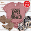 Jesus Is The Answer Tee - Heather Mauve - 15 product image 1