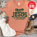 Jesus Is The Reason Tee - Heather Terracotta - 15 product image 1
