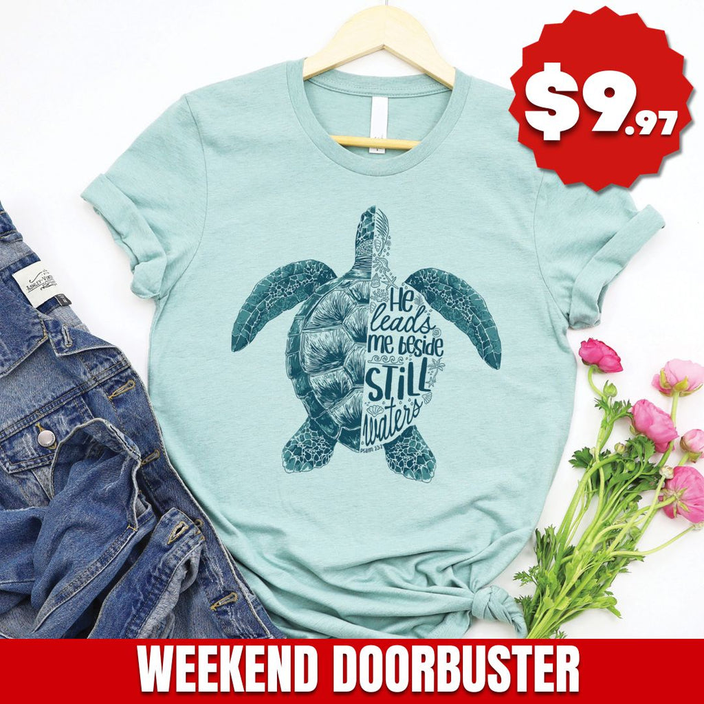 Still Waters Turtle Tee product image 2