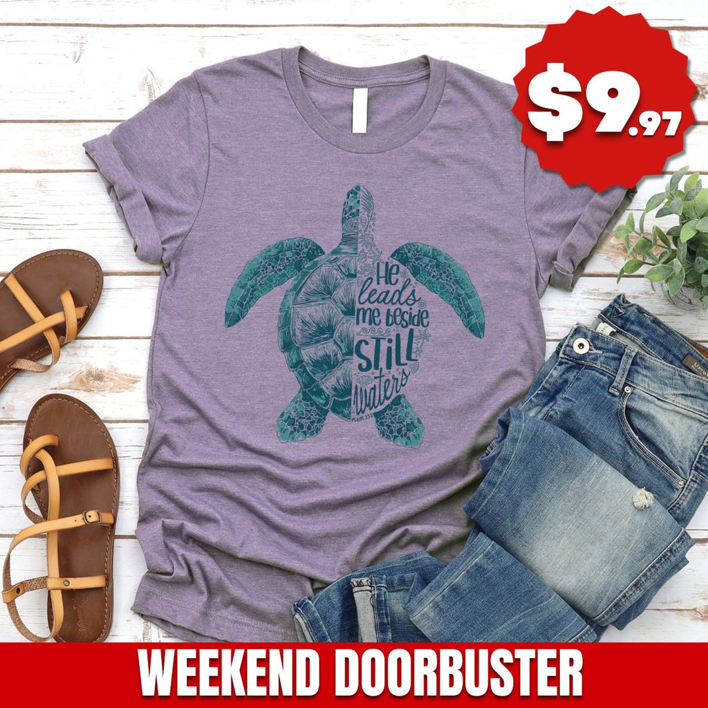 Still Waters Turtle Tee product image 1
