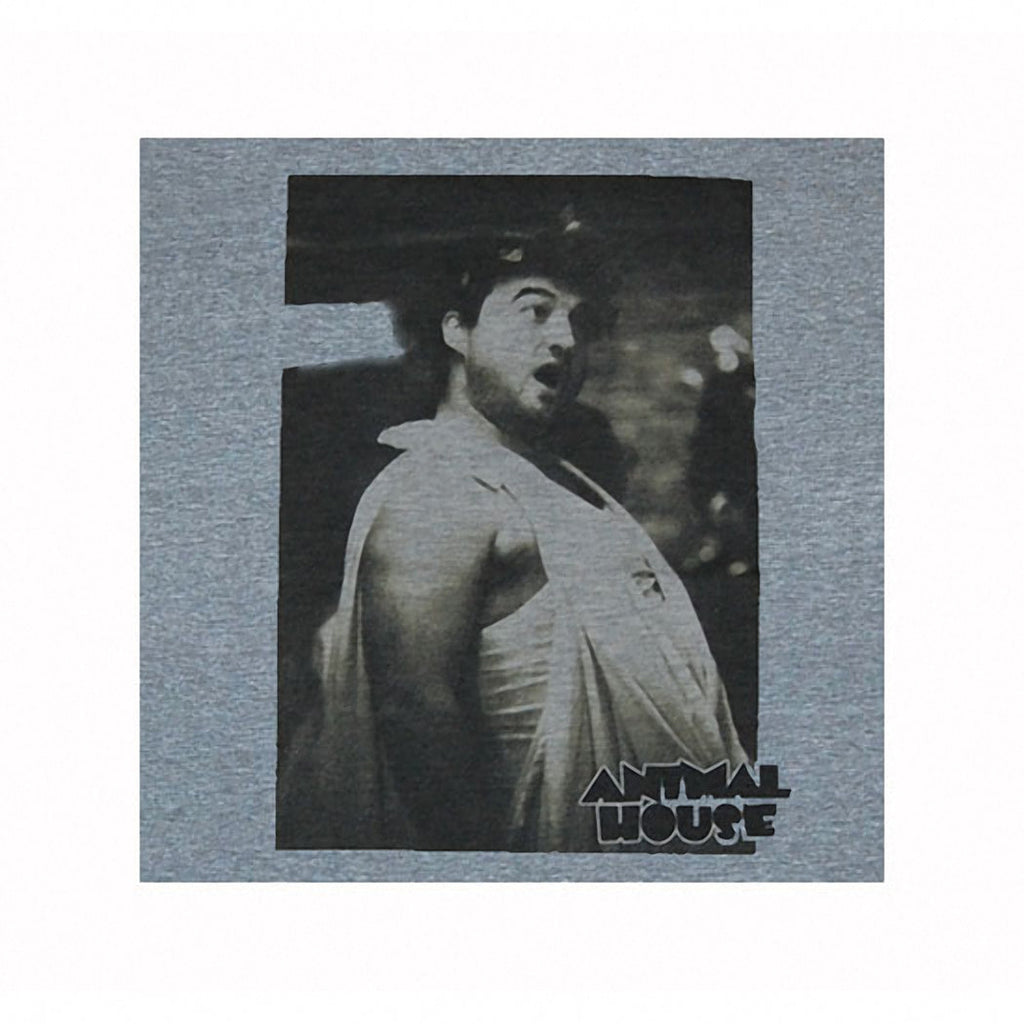 Animal House Toga Photo T-Shirt product image 2
