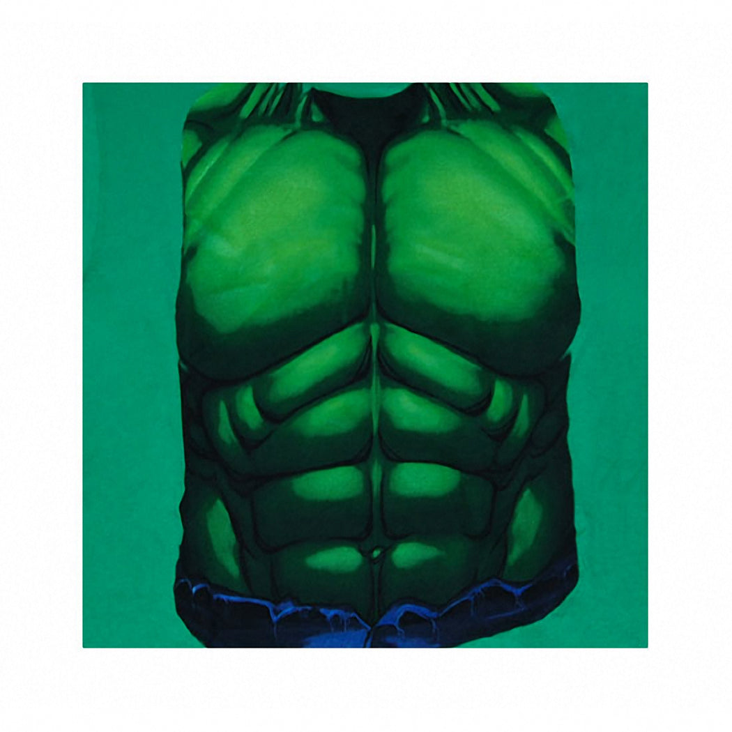 Incredible Hulk Smash Costume T-Shirt product image 2